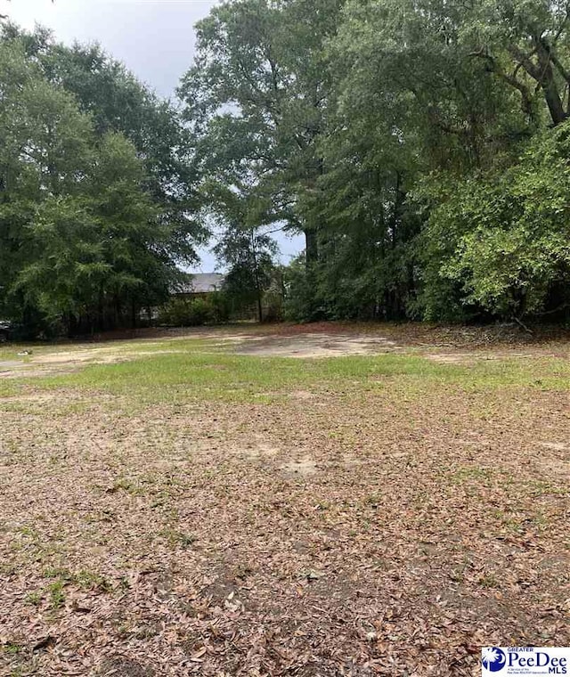108 Swails St, Kingstree, SC 29556 - view of yard