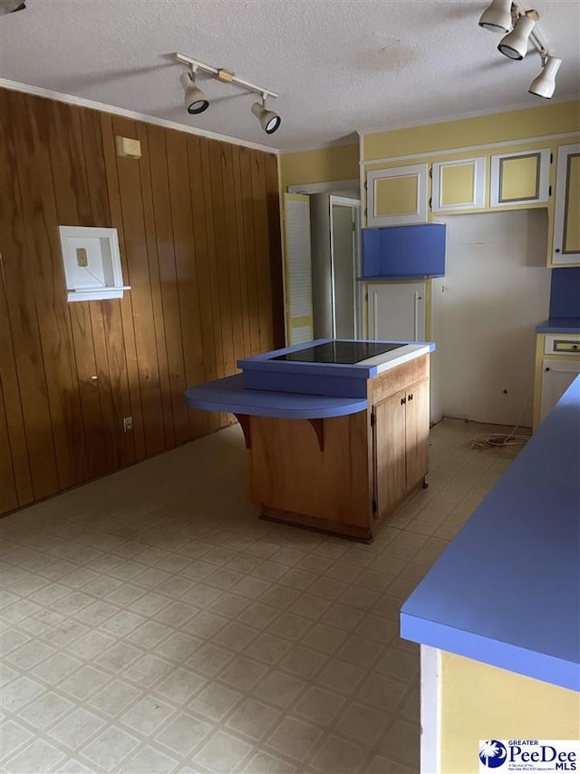 108 Swails St, Kingstree, SC 29556 - kitchen featuring track lighting, light floors, wooden walls, and a textured ceiling