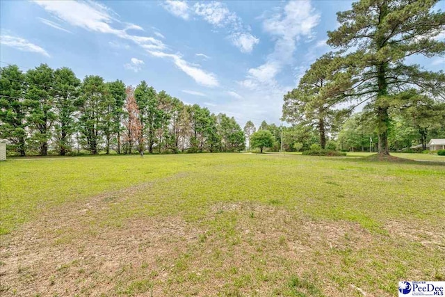 133 Peacock Row, Lamar, SC 29069 - view of green lawn