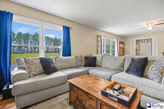 133 Peacock Row, Lamar, SC 29069 - living area with ceiling fan