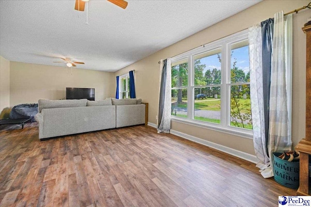 133 Peacock Row, Lamar, SC 29069 - living area with a ceiling fan, a textured ceiling, baseboards, and wood finished floors