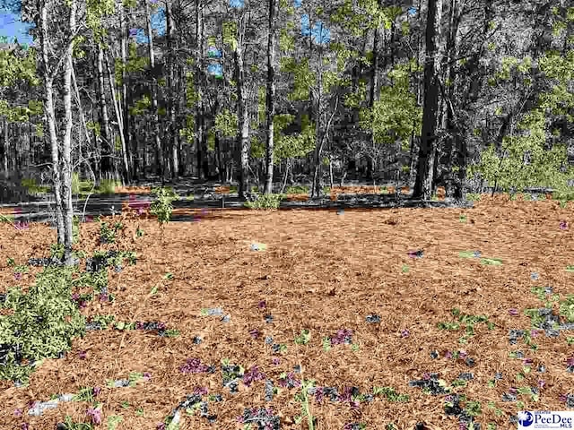 TBD Sheppard Ct, Mullins SC, 29574 land for sale