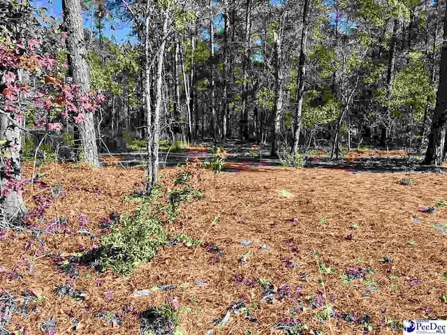 Listing photo 2 for TBD Sheppard Ct, Mullins SC 29574