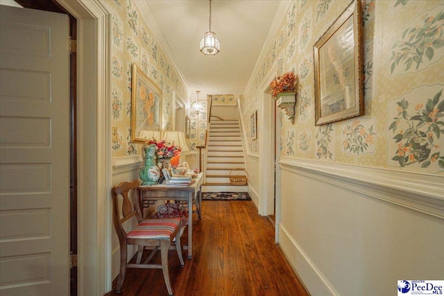 corridor with crown molding and dark hardwood / wood-style flooring