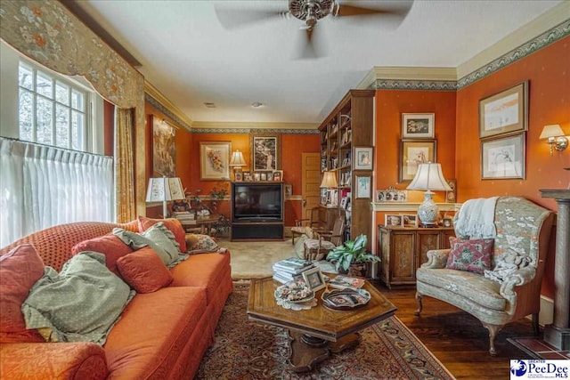 living room with crown molding, ceiling fan, and dark hardwood / wood-style flooring