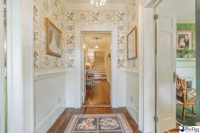 hallway with dark wood-type flooring and crown molding