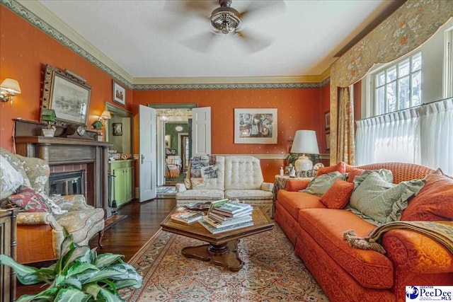 living room with crown molding, dark wood-type flooring, and ceiling fan