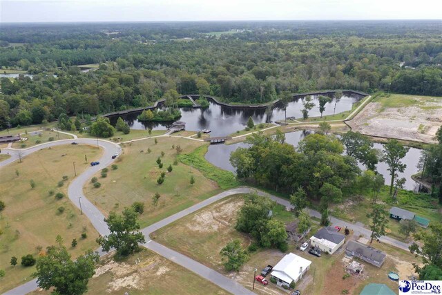 2009 Rodgers Ave, Lake City, SC 29560 - photo 4