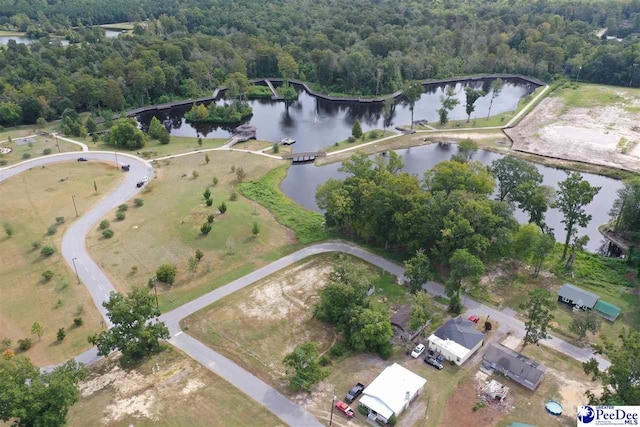 2009 Rodgers Ave, Lake City, SC 29560 - photo 6