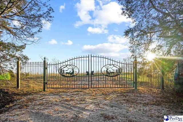 view of gate with fence