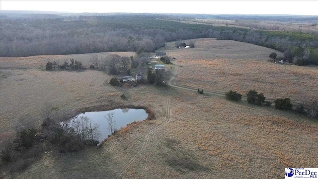 bird's eye view featuring a rural view, a forest view, and a water view