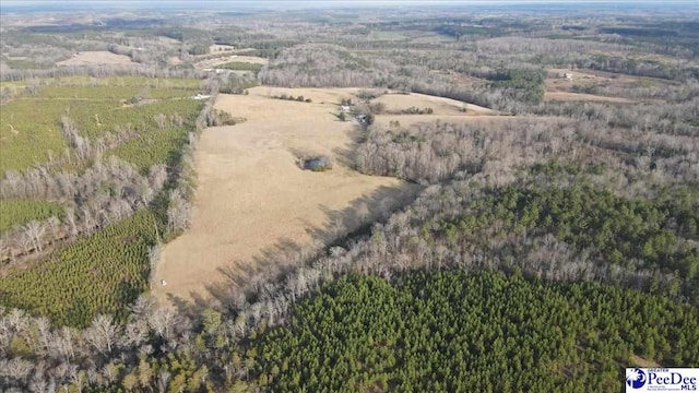853 Freeman Loop Rd, Chesterfield, SC 29709 - photo 32