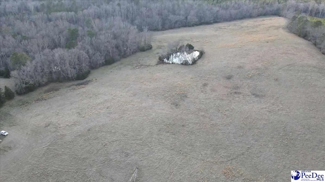 853 Freeman Loop Rd, Chesterfield, SC 29709 - photo 28