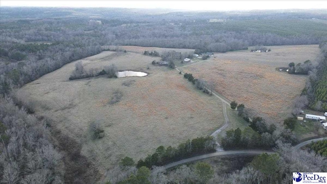 853 Freeman Loop Rd, Chesterfield, SC 29709 - photo 21