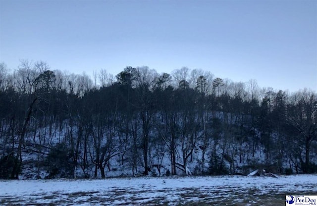 snowy landscape with a wooded view