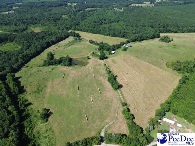 853 Freeman Loop Rd, Chesterfield, SC 29709 - photo 20