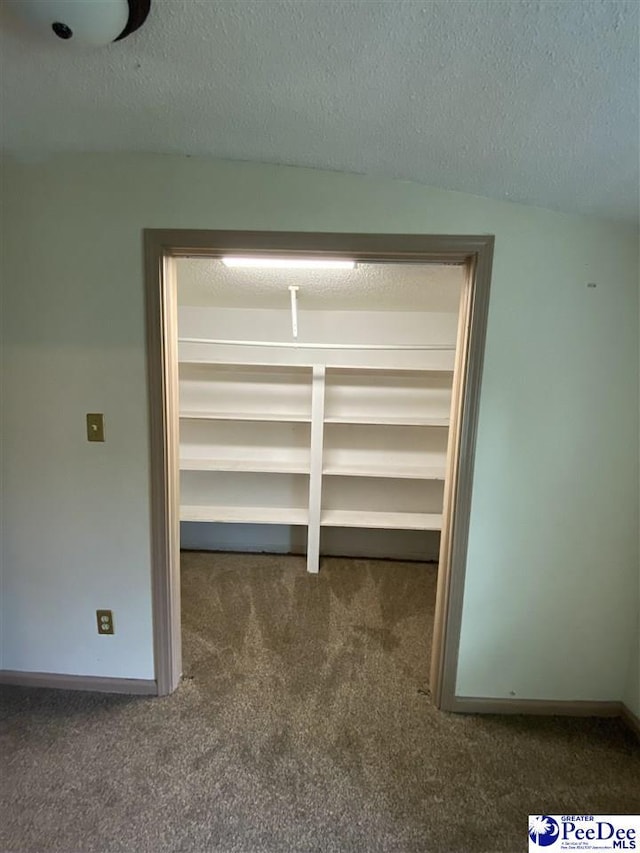 202 S Warley St, Darlington, SC 29532 - walk in closet featuring carpet flooring