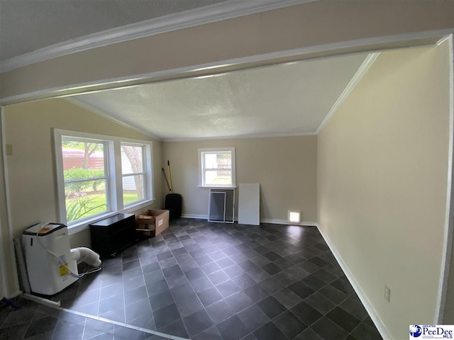 202 S Warley St, Darlington, SC 29532 - living room featuring baseboards, ornamental molding, dark tile patterned floors, and lofted ceiling