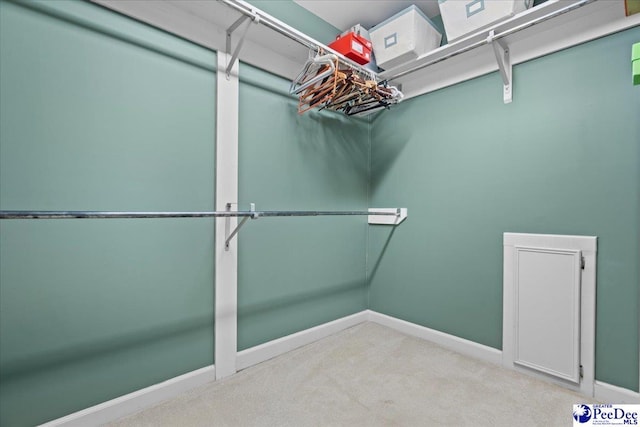 3402 Sussex Ct, Florence, SC 29501 - walk in closet with carpet floors