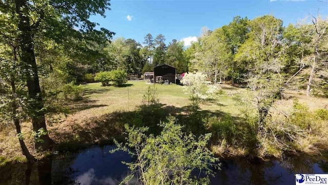 2305 Sandra Cir, Palmplico, SC 29583 - view of yard with a water view