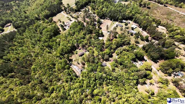 2305 Sandra Cir, Palmplico, SC 29583 - aerial view of property's location