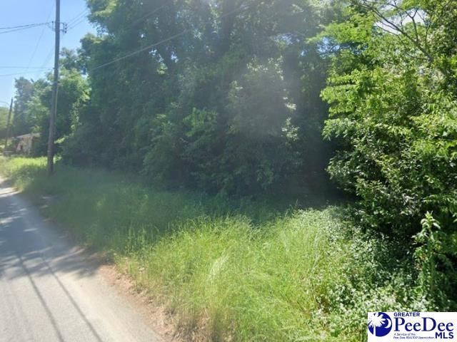 116 Cleveland St, Darlington, SC 29512
