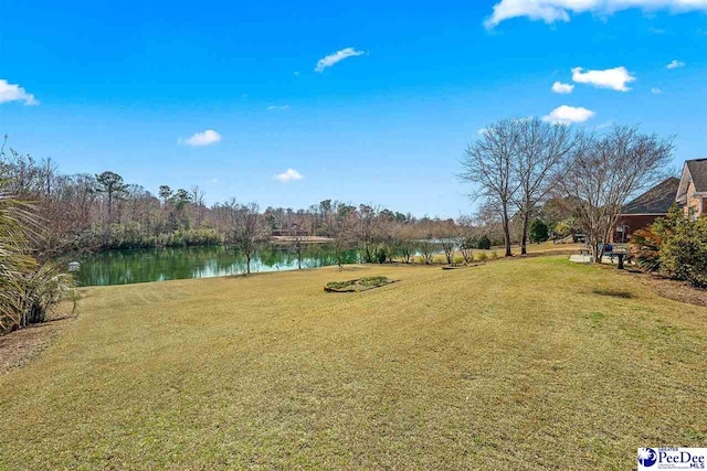 view of yard with a water view