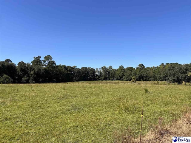 740 Chair Rd, Hemingway SC, 29554 land for sale