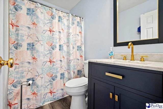 bathroom with vanity, toilet, and hardwood / wood-style floors