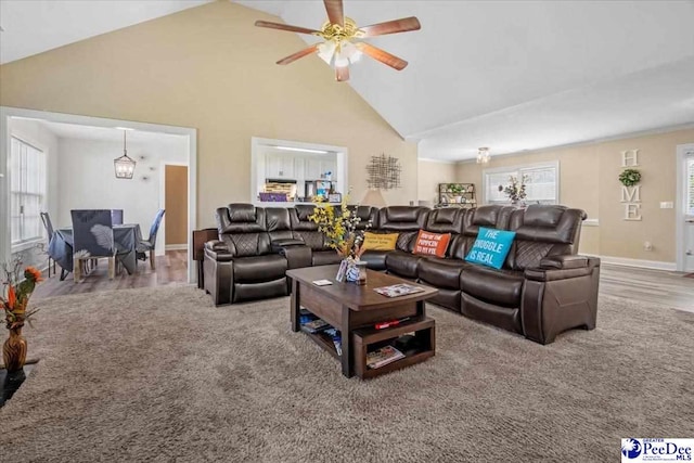 living room with ceiling fan, hardwood / wood-style floors, and high vaulted ceiling