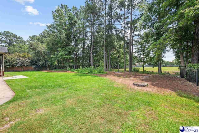 912 Ivanhoe Dr, Florence, SC 29505 - view of yard
