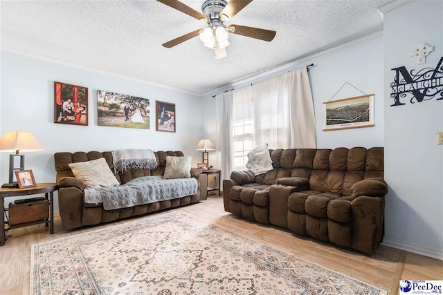 living room featuring a textured ceiling, ceiling fan, ornamental molding, and light wood-style flooring