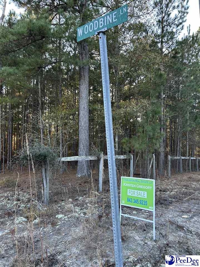 Bridlewood Rd, Cheraw, SC 29520