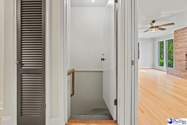 hallway featuring hardwood / wood-style flooring