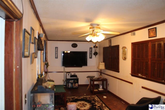 419 N Jackson St, Kingstree, SC 29556 - photo 10