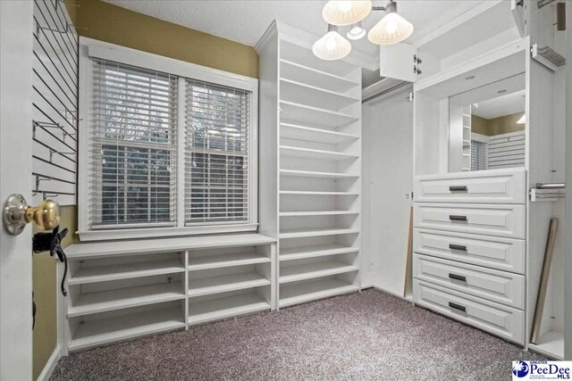 3406 Sussex Ct, Florence, SC 29501 - walk in closet featuring carpet flooring