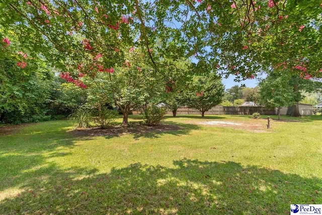 23 Mcrae Rd, Cheraw, SC 29520 - view of yard
