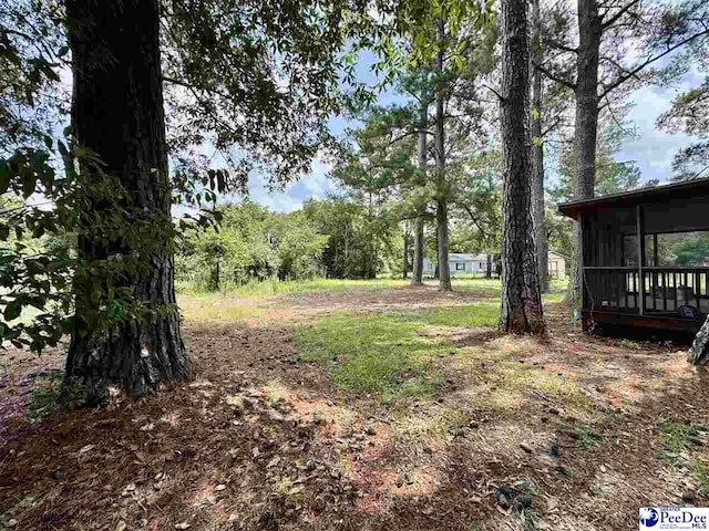 116 Pee Dee Cir, Marion, SC 29571 - photo 19