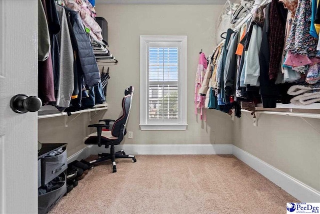 spacious closet with carpet floors