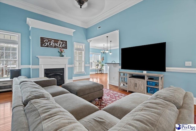 living room featuring visible vents, crown molding, an inviting chandelier, wood finished floors, and a glass covered fireplace