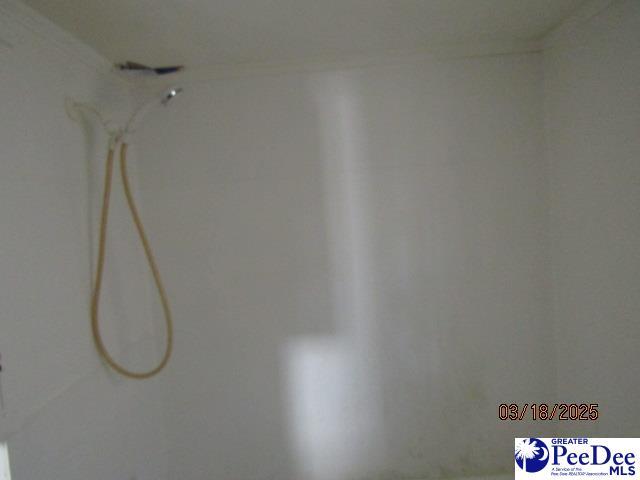 112 N Carolina Ct, Dillon, SC 29536 - view of room details