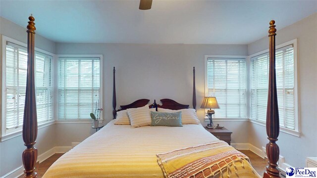310 S Calhoun Dr, Florence, SC 29501 - bedroom featuring baseboards, multiple windows, ceiling fan, and dark wood-style floors