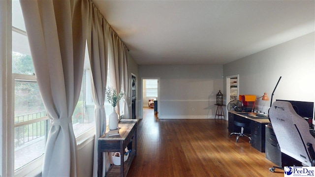 310 S Calhoun Dr, Florence, SC 29501 - office with dark wood-type flooring and baseboards