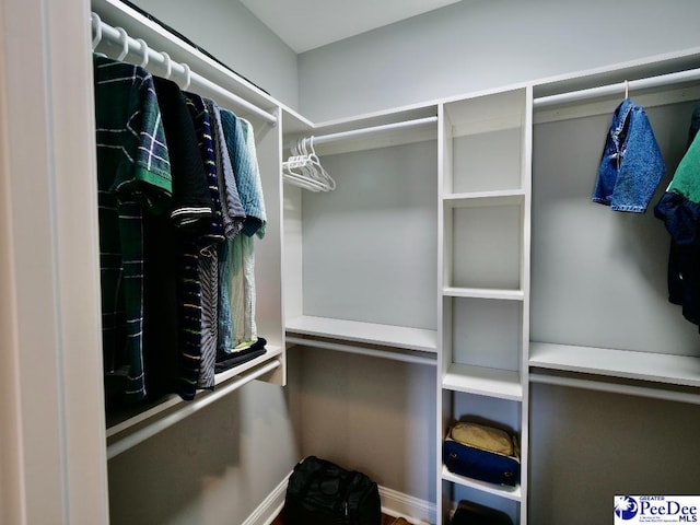 view of spacious closet