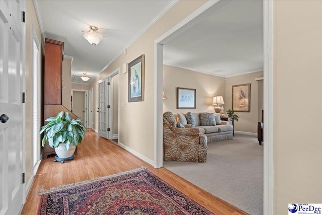 244 Timberlake Dr, Florence, SC 29501 - hall featuring wood finished floors, baseboards, and crown molding