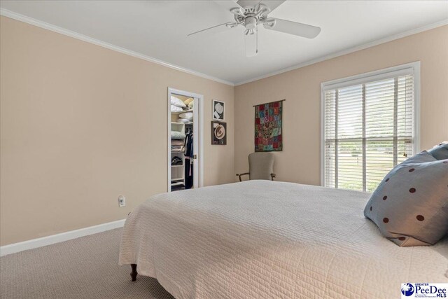 244 Timberlake Dr, Florence, SC 29501 - bedroom featuring crown molding, carpet, baseboards, a spacious closet, and a ceiling fan