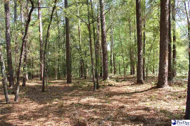 TBD Westover Dr, Hartsville SC, 29550 land for sale