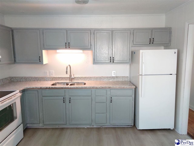 kitchen with sink, gray cabinetry, light hardwood / wood-style flooring, ornamental molding, and white appliances