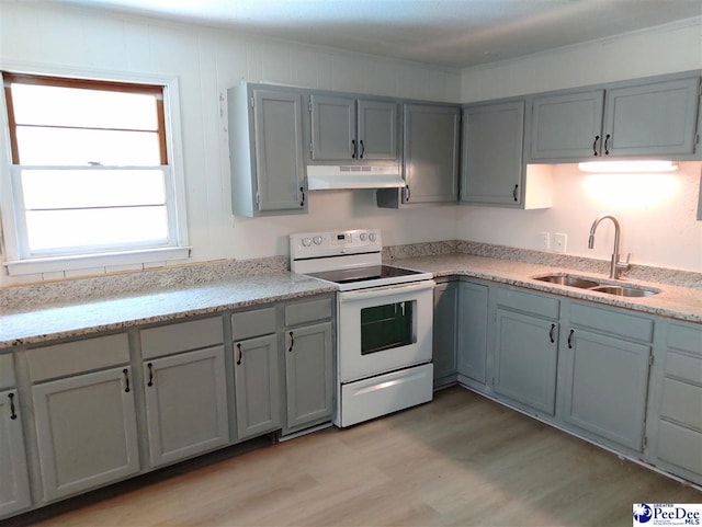 kitchen featuring sink, gray cabinets, white range with electric cooktop, light hardwood / wood-style floors, and ornamental molding