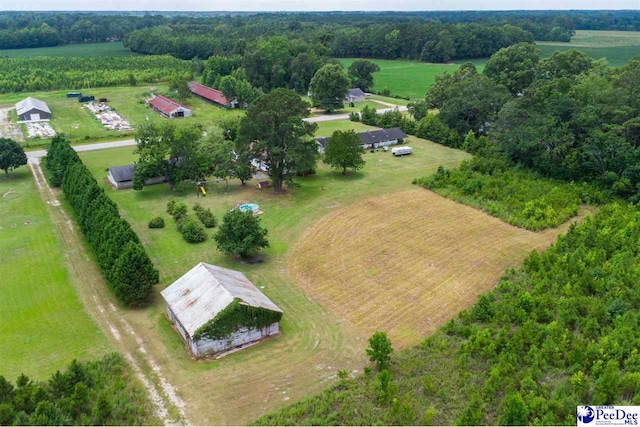 1521 Hibiscus Rd, Timmonsville, SC 29161 - photo 32